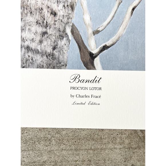 1984 Charles Fracé “Bandit, Raccoon” Large Signed Lithograph Print 30”X22” w/COA - Picture 8 of 14